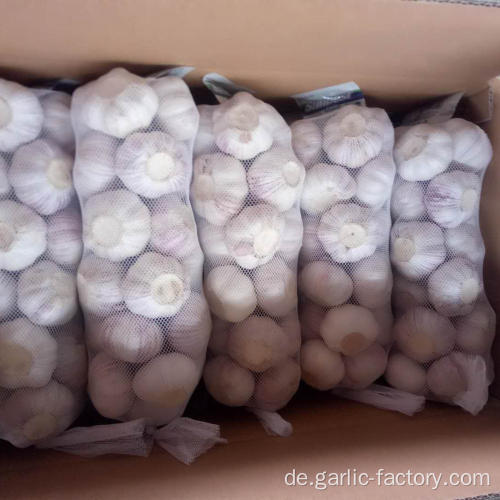 New Crop Frischer Knoblauch Marktpreis 1KG